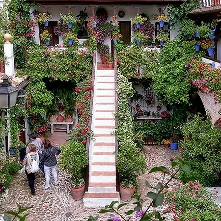 Ds El Rincon De Rave قرطبة