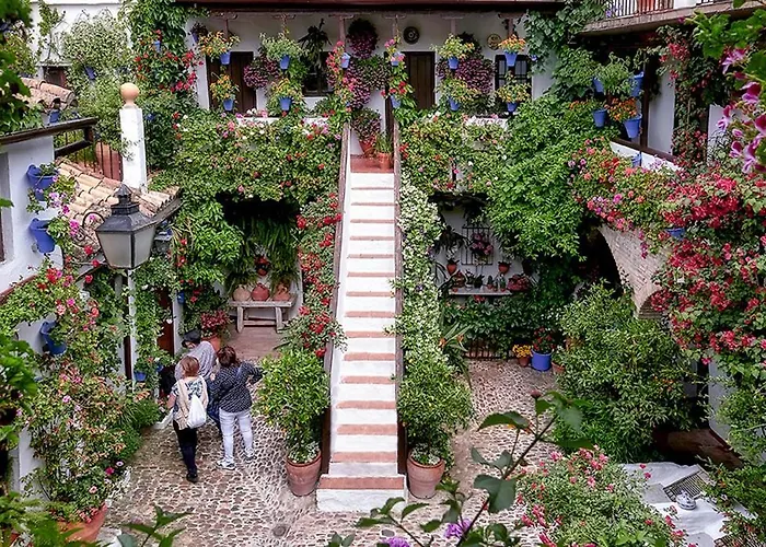 Ds El Rincon De Rave 코르도바