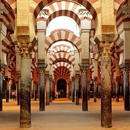 Ds El Rincón De Ravé Córdoba